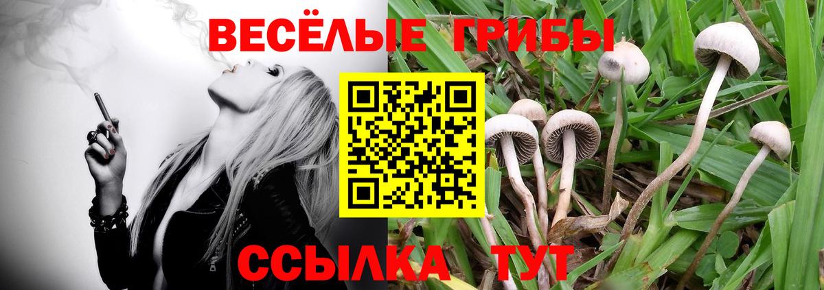 Галлюциногенные грибы прущие грибы Балабаново