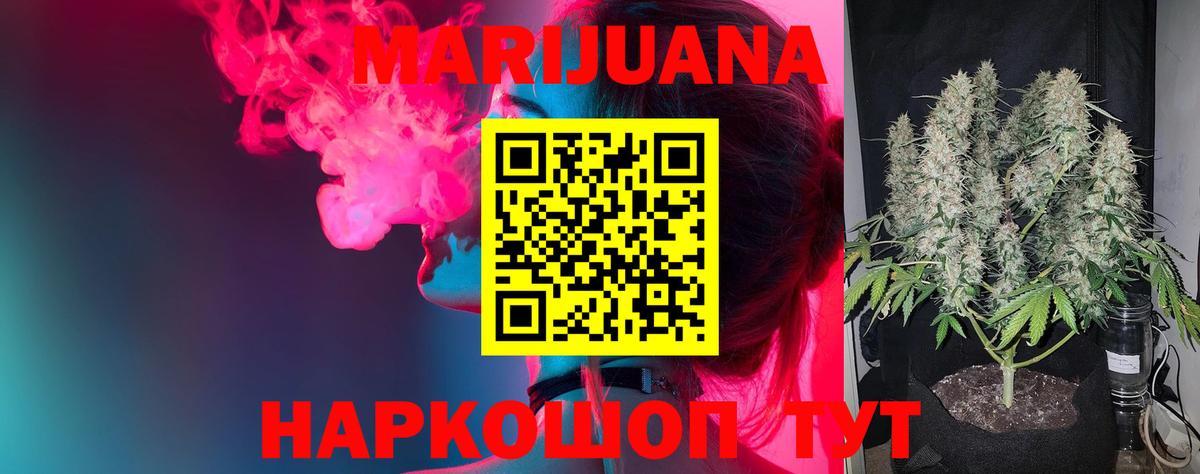 Канабис планчик Балабаново